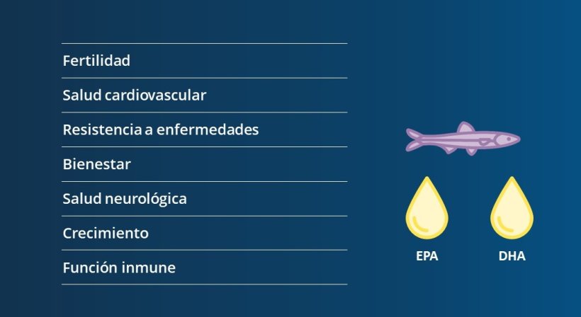 EPA and DHA have the most health benefits