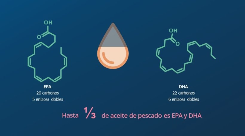 most effective way to get EPA and DHA…