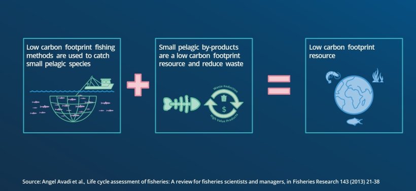 low carbon footprint