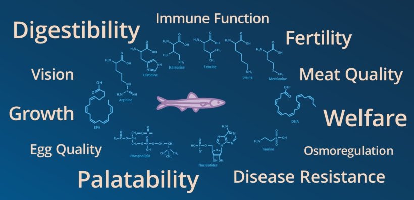 Nature’s best nutrient sources