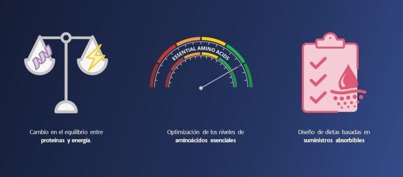 ¿Qué cambios se han realizado en el diseño del alimento balanceado en función de estos diversos parámetros?