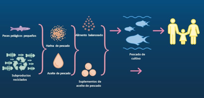 small pelagic species in our diets