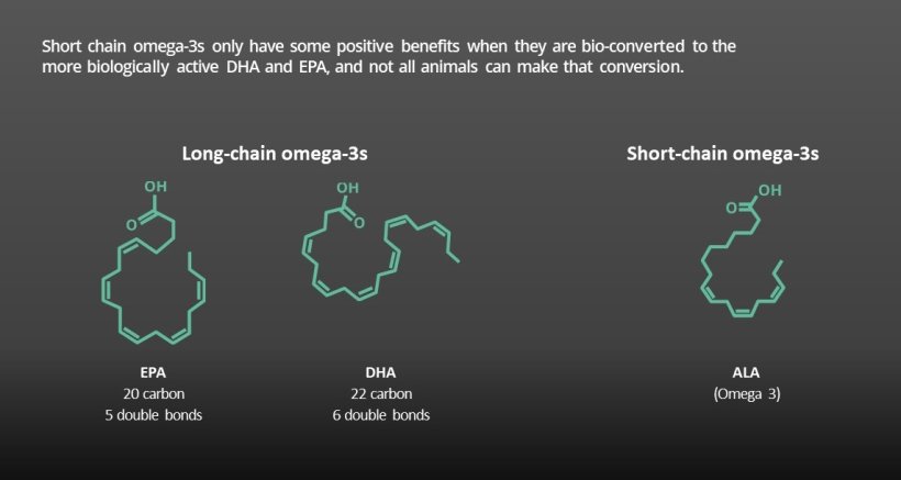Omega-3s play a specific role in animal health but not all of them are equal