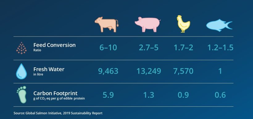most resource-efficient animal protein
