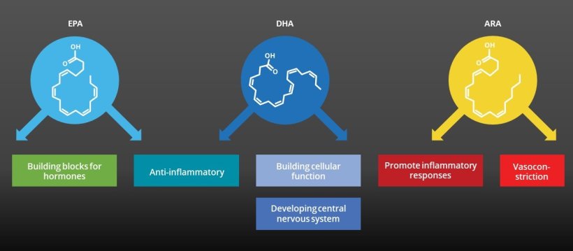 EPA and DHA have been reported to contribute different roles to our health