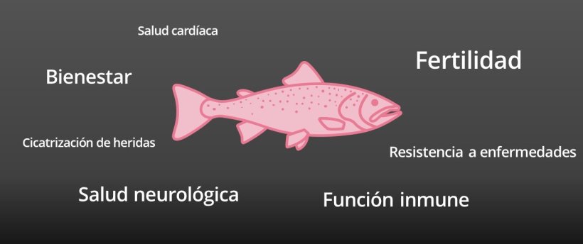 EPA y DHA son esenciales en la salud de los peces