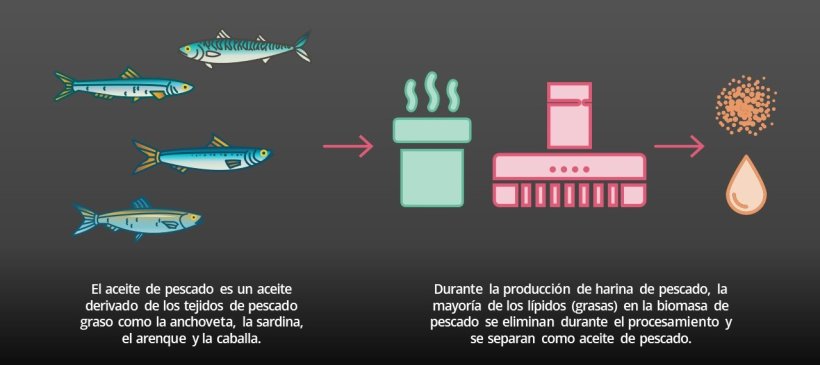 El aceite de pescado es un subproducto del procesamiento del pescado.