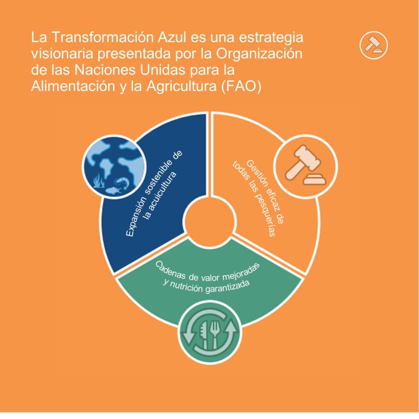 Blue Transformation is a visionary strategy put forward by the United Nations' Food and Agriculture Organisation