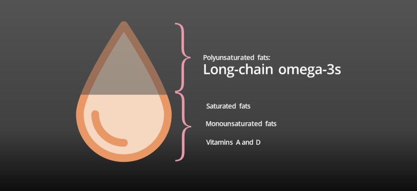 Fish oil is made up mostly of fats (lipids) and it also has vitamins A and D 