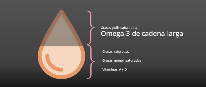 El aceite de pescado está compuesto principalmente de grasas (lípidos). Tienen, además, vitaminas A y D