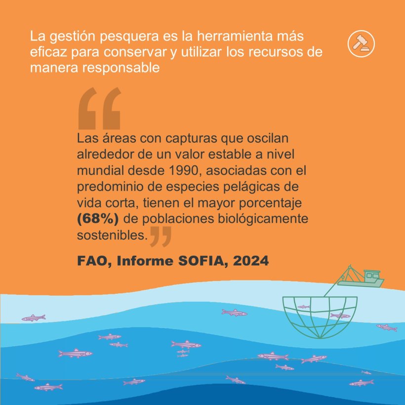 La gestión pesquera es la herramienta más eficaz para conservar y utilizar los recursos de manera responsable