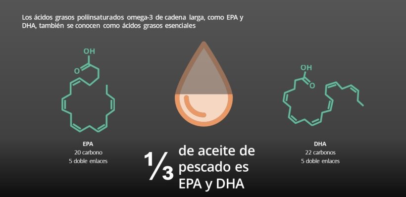 Hasta ⅓ del aceite de pescado está compuesto por omega-3