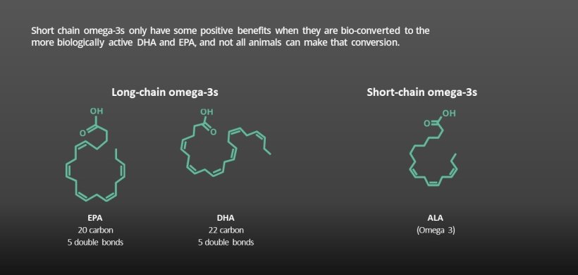 Omega-3s play a specific role in animal health but not all of them are equal