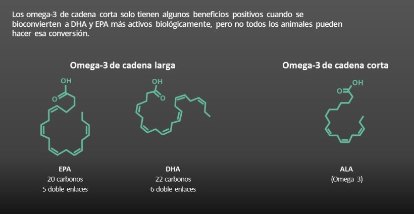 Los omega-3 juegan un papel específico en la salud animal, pero no todos son iguales