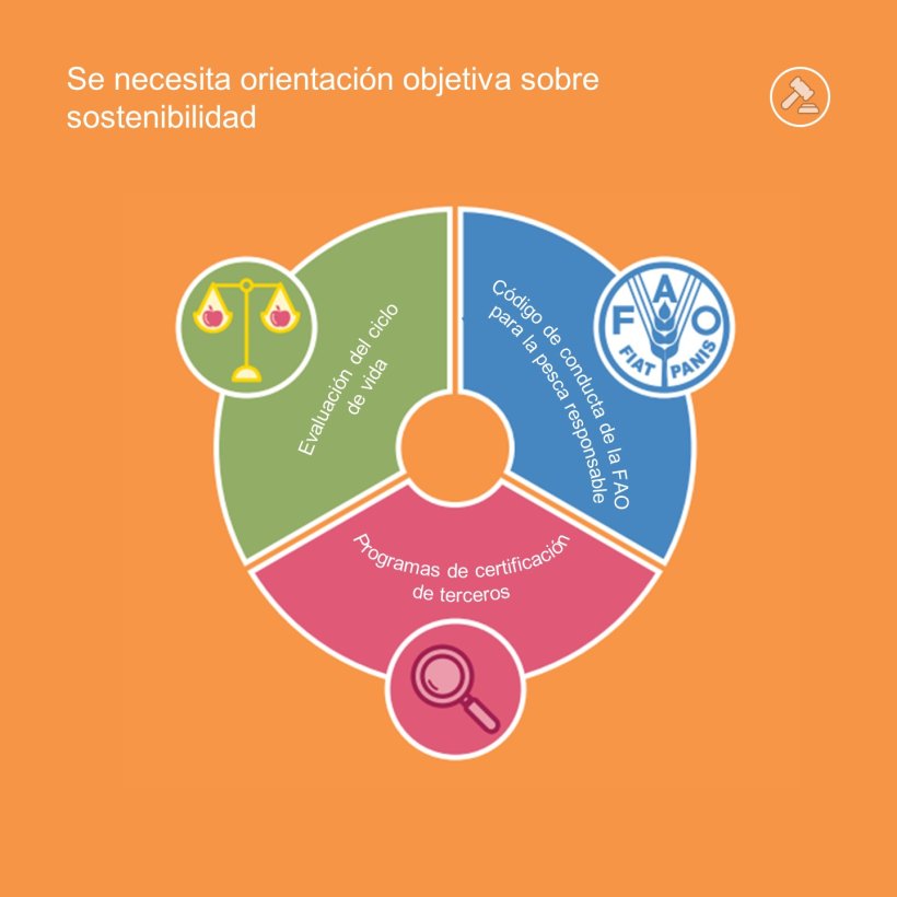 Se necesita orientación objetiva sobre sostenibilidad