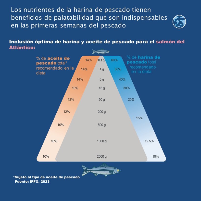 Los nutrientes de la harina de pescado tienen beneficios de palatabilidad que son indispensables en las primeras semanas del pescado