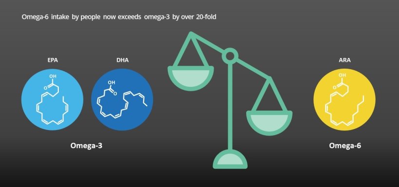 All animals (including humans) need EPA & DHA