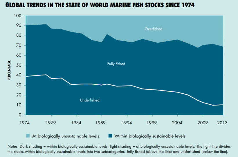 Global trends in marine fish stocks