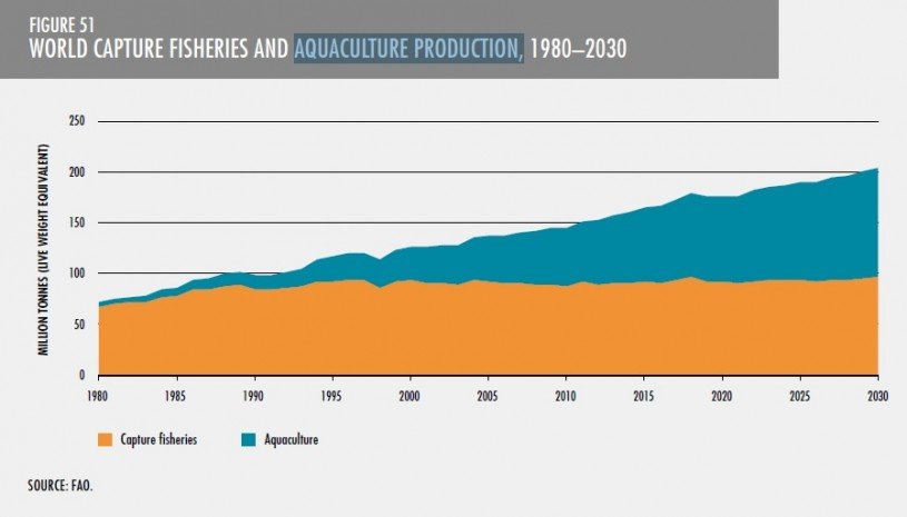 Aquaculture Production