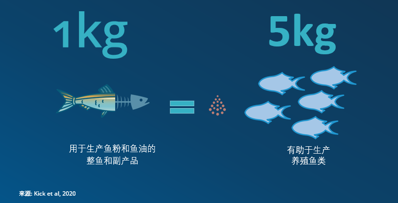 战略用途