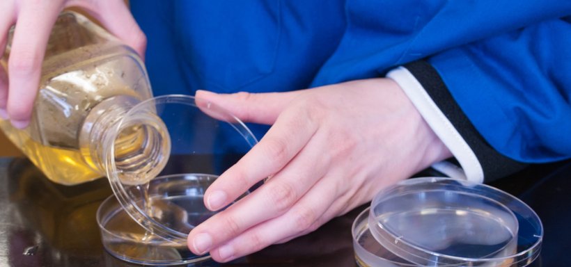 Fish oil lab