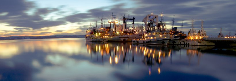 Fishing boats