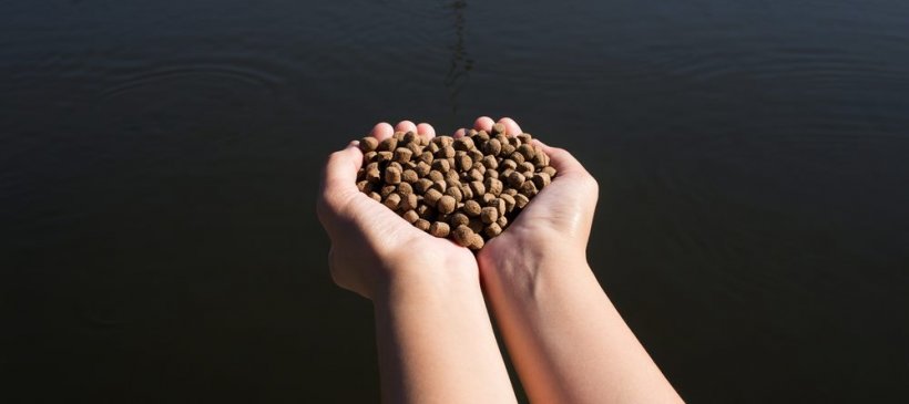 Fishmeal