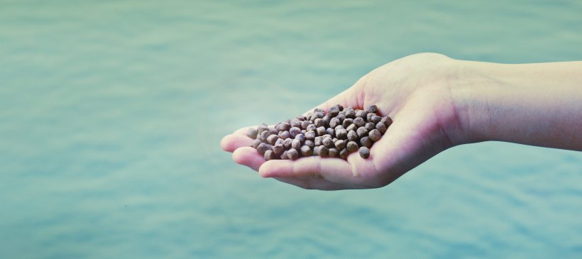 Fishmeal