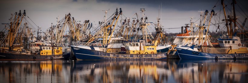 Boats