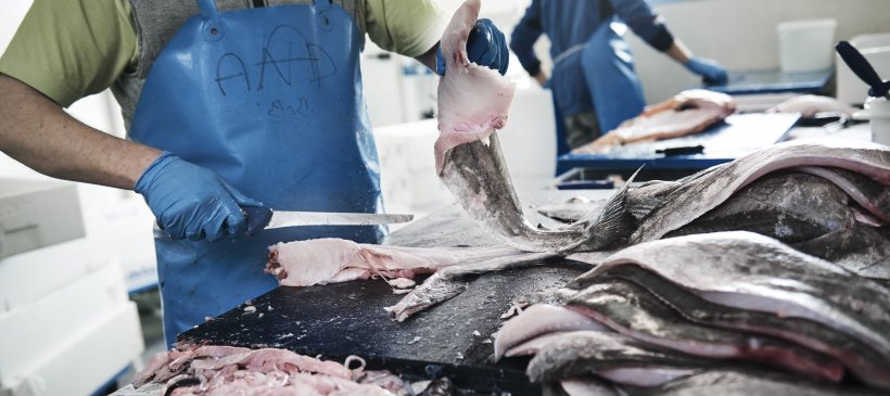 Preparing fish