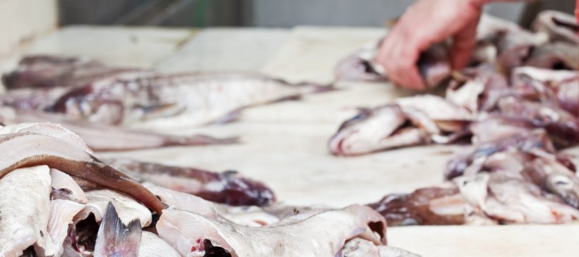 Raw fish preperation