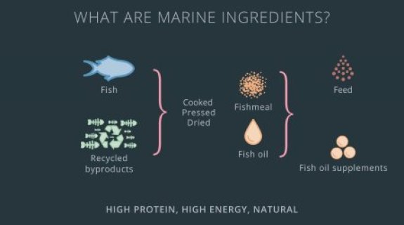 The Role of marine ingredients