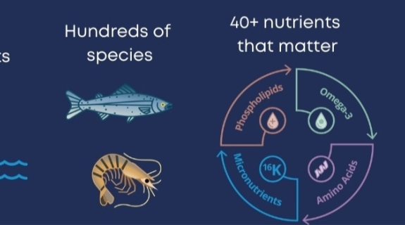 Optimización de la nutrición de precisión para la utilización de alimentos en acuicultura