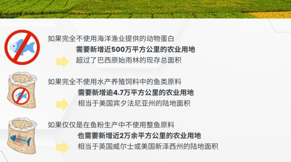 生物多样性影响