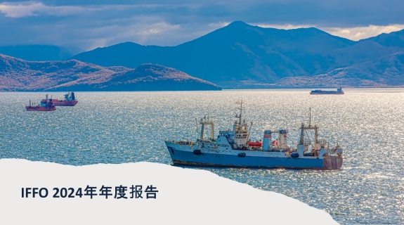 2024年度报告 