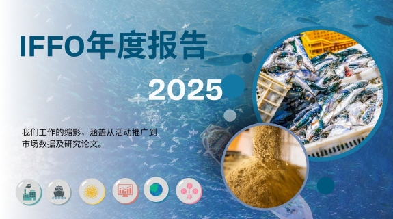 2025年度报告 