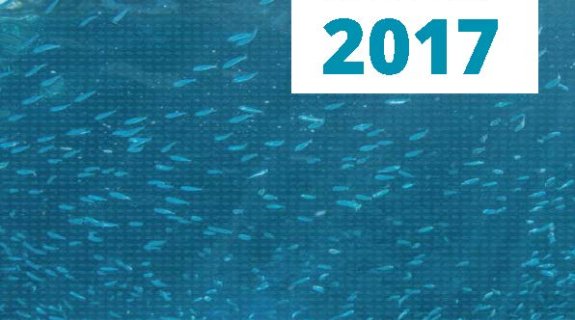 Informe anual de IFFO 2017 - Spanish 
