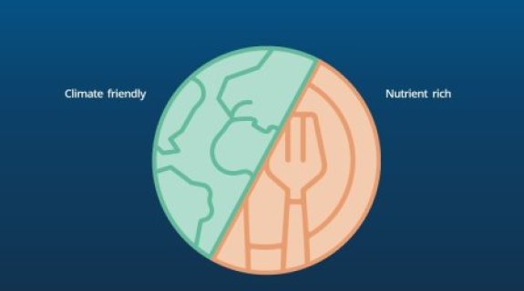 Nutrition - Optimising human nutrition within global constraints 