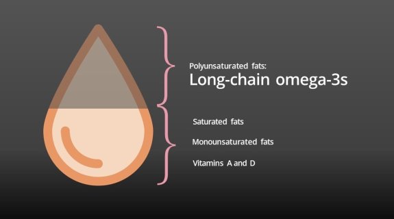 The benefits of fish oil