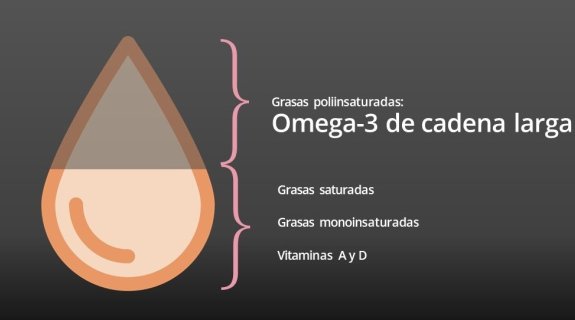 Los beneficios del aceite de pescado