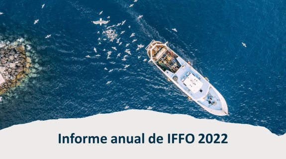 Informe anual de IFFO 2022 - Spanish 