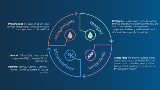 ¿Cuál es el perfil nutricional y los beneficios de la harina y el aceite de pescado?