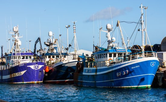 Committed to responsible supply chains