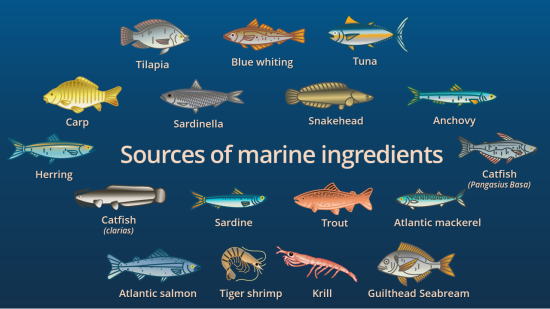 The sources of marine ingredients: Whole fish & by-products