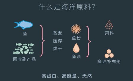 海洋原料的角色