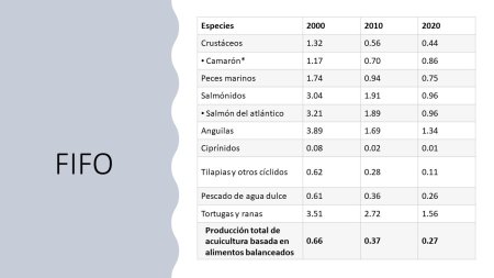 Datos FIFO