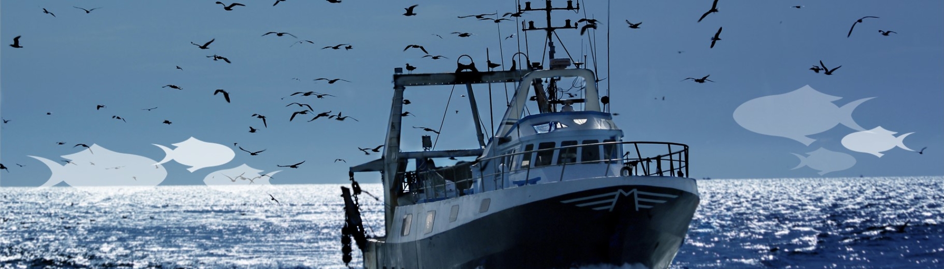 Homepage | IFFO - The Marine Ingredients Organisation