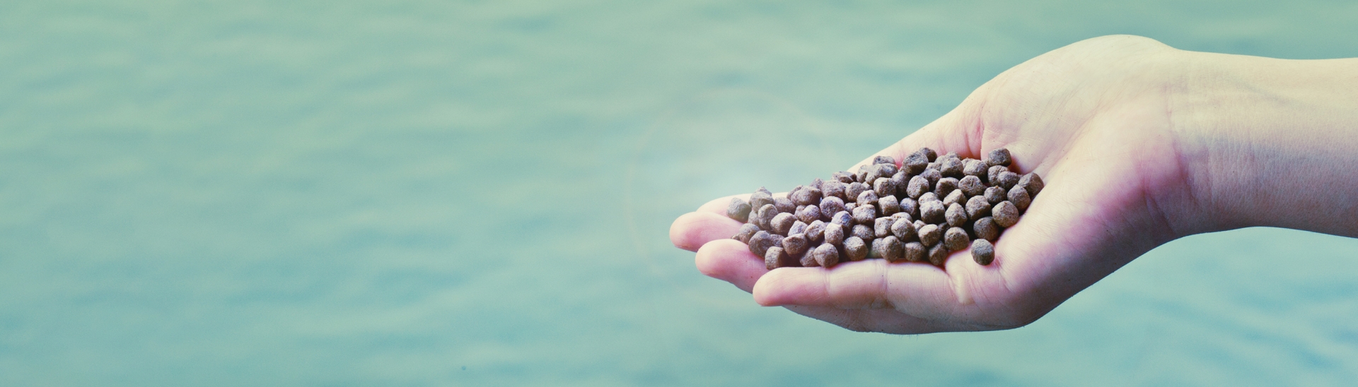 Homepage | IFFO - The Marine Ingredients Organisation