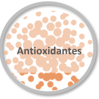 Antioxidantes