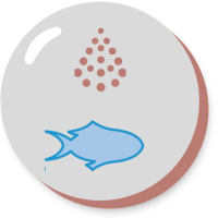 The role of marine ingredients in a circular food system 